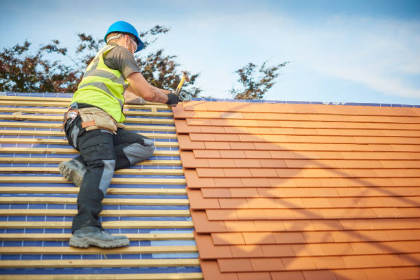 Best Skylight Installation and Repair  in Shirley, NY
